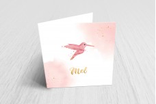 Lieve kolibri Lieve kolibri